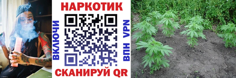 Альфа ПВП Минеральные Воды