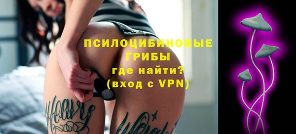 индика Майский