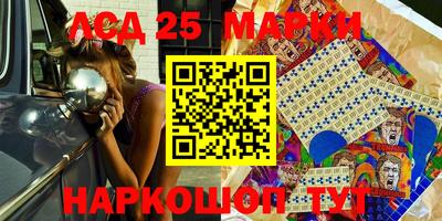 spice Камышлов