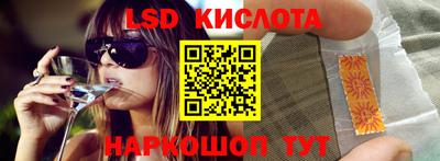 spice Камышлов