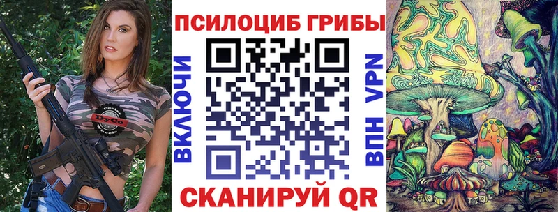 как найти закладки  Минеральные Воды  Псилоцибиновые грибы мухоморы 
