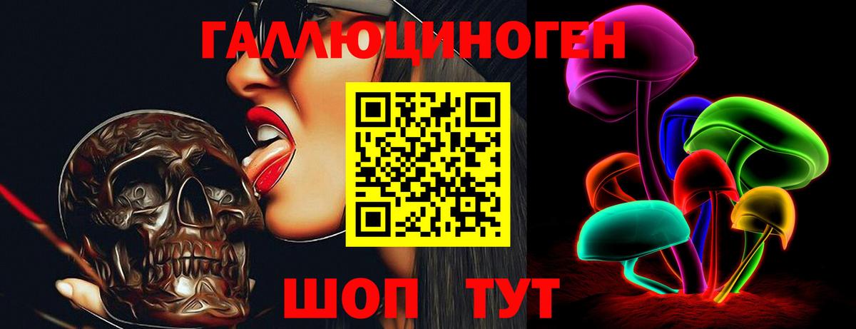 Галлюциногенные грибы Psilocybe Минеральные Воды
