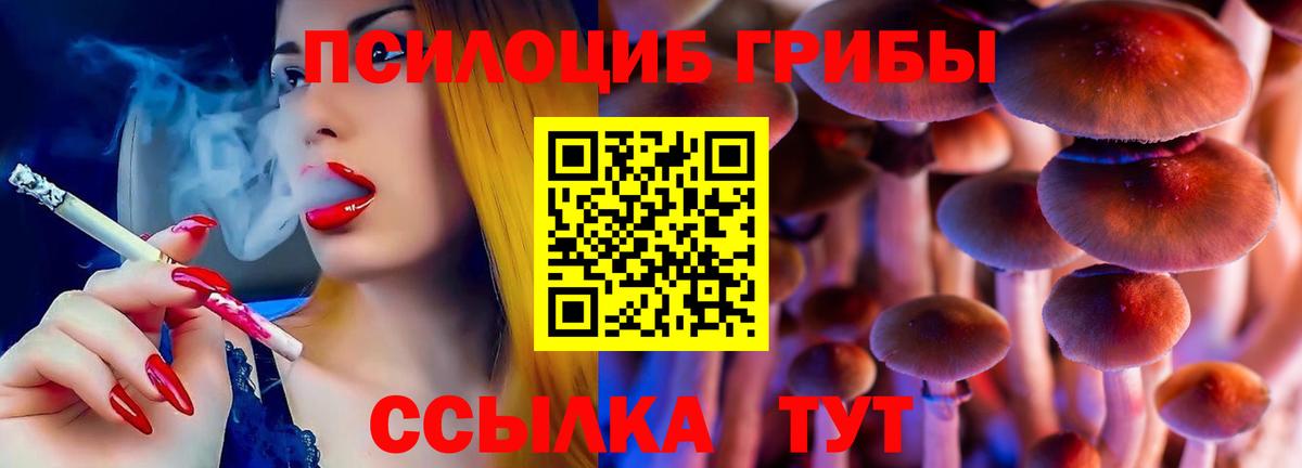 Псилоцибиновые грибы Psilocybe Минеральные Воды